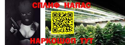кокс Можга