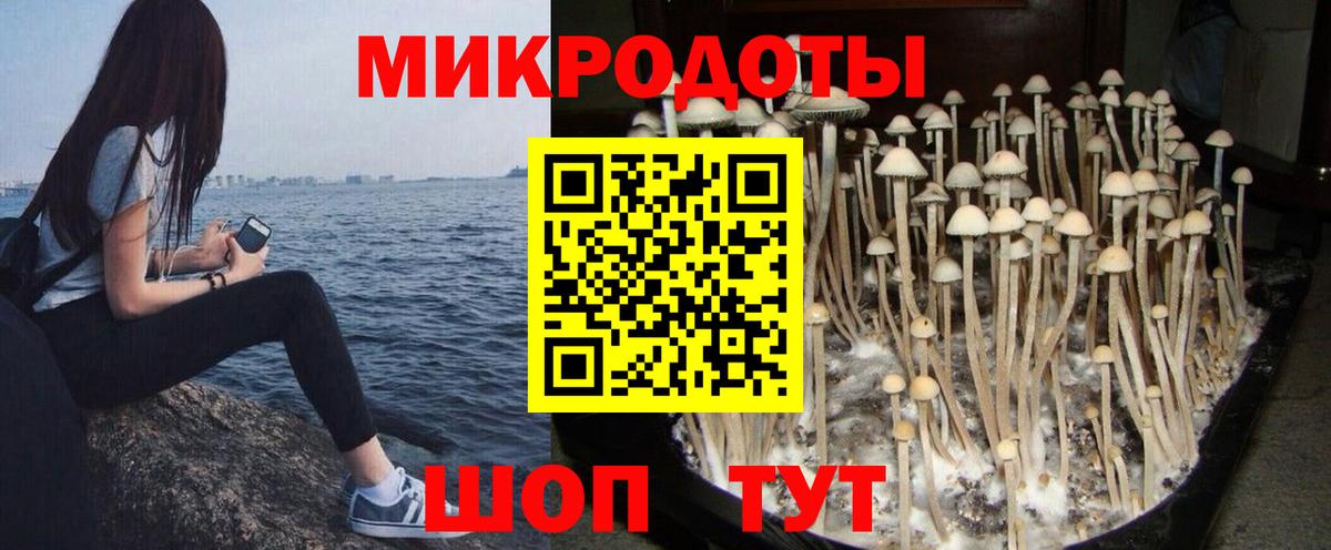 Псилоцибиновые грибы Magic Shrooms  Вход с VPN  Новокузнецк 